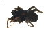  ( - BIOUG01892-A05)  @12 [ ] Copyright  G. Blagoev 2011 Unspecified