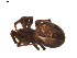  ( - BIOUG01892-B07)  @13 [ ] Copyright  G. Blagoev 2011 Unspecified