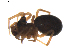  ( - BIOUG01892-D09)  @12 [ ] Copyright  G. Blagoev 2011 Unspecified