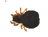  ( - BIOUG01892-D10)  @12 [ ] Copyright  G. Blagoev 2011 Unspecified