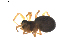  ( - BIOUG01892-E02)  @13 [ ] Copyright  G. Blagoev 2011 Unspecified