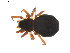  ( - BIOUG01892-E04)  @12 [ ] Copyright  G. Blagoev 2011 Unspecified