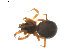  ( - BIOUG01892-E05)  @12 [ ] Copyright  G. Blagoev 2011 Unspecified