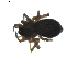  ( - BIOUG01892-G04)  @12 [ ] Copyright  G. Blagoev 2011 Unspecified