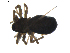  ( - BIOUG01892-G05)  @12 [ ] Copyright  G. Blagoev 2011 Unspecified