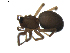  ( - BIOUG01893-B04)  @13 [ ] Copyright  G. Blagoev 2011 Unspecified