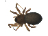  ( - BIOUG01893-B06)  @12 [ ] Copyright  G. Blagoev 2011 Unspecified