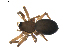  ( - BIOUG01893-B10)  @12 [ ] Copyright  G. Blagoev 2011 Unspecified