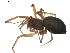  ( - BIOUG01893-B12)  @12 [ ] Copyright  G. Blagoev 2011 Unspecified