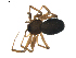  ( - BIOUG01893-C01)  @13 [ ] Copyright  G. Blagoev 2011 Unspecified
