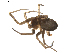 ( - BIOUG01894-F01)  @13 [ ] Copyright  G. Blagoev 2011 Unspecified