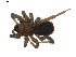 ( - BIOUG01894-F03)  @13 [ ] Copyright  G. Blagoev 2011 Unspecified