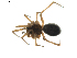  ( - BIOUG01894-H07)  @13 [ ] Copyright  G. Blagoev 2011 Unspecified