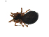  ( - BIOUG01894-H08)  @12 [ ] Copyright  G. Blagoev 2011 Unspecified