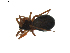  ( - BIOUG01894-H09)  @12 [ ] Copyright  G. Blagoev 2011 Unspecified
