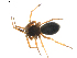  ( - BIOUG01895-A01)  @13 [ ] Copyright  G. Blagoev 2011 Unspecified