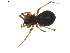  ( - BIOUG01895-A05)  @13 [ ] Copyright  G. Blagoev 2011 Unspecified
