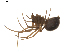  ( - BIOUG01895-B06)  @13 [ ] Copyright  G. Blagoev 2011 Unspecified