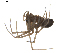  ( - BIOUG01895-B07)  @13 [ ] Copyright  G. Blagoev 2011 Unspecified