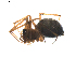  ( - BIOUG01895-D08)  @12 [ ] Copyright  G. Blagoev 2011 Unspecified