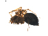  ( - BIOUG01895-E02)  @12 [ ] Copyright  G. Blagoev 2011 Unspecified