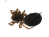  ( - BIOUG01895-E06)  @12 [ ] Copyright  G. Blagoev 2011 Unspecified