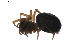  ( - BIOUG01895-E08)  @11 [ ] Copyright  G. Blagoev 2011 Unspecified