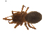  ( - BIOUG01895-H01)  @12 [ ] Copyright  G. Blagoev 2011 Unspecified