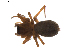  ( - BIOUG01895-H02)  @12 [ ] Copyright  G. Blagoev 2011 Unspecified