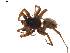  ( - BIOUG01896-D06)  @12 [ ] Copyright  G. Blagoev 2011 Unspecified