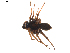  ( - BIOUG01896-D08)  @12 [ ] Copyright  G. Blagoev 2011 Unspecified