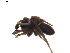  ( - BIOUG01896-D09)  @12 [ ] Copyright  G. Blagoev 2011 Unspecified
