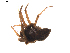  ( - BIOUG01896-D11)  @12 [ ] Copyright  G. Blagoev 2011 Unspecified