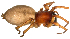  ( - BIOUG01971-A01)  @12 [ ] Copyright  G. Blagoev 2012 Unspecified