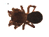  ( - BIOUG00178-E05)  @12 [ ] Copyright  G. Blagoev 2010 Unspecified