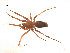  ( - BIOUG00178-G02)  @13 [ ] Copyright  G. Blagoev 2010 Unspecified