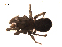  ( - BIOUG00178-G04)  @12 [ ] Copyright  G. Blagoev 2010 Unspecified