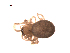  ( - BIOUG00200-B07)  @12 [ ] Copyright  G. Blagoev 2010 Unspecified