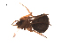  ( - BIOUG00200-B09)  @12 [ ] Copyright  G. Blagoev 2010 Unspecified