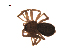  ( - BIOUG00200-D10)  @13 [ ] Copyright  G. Blagoev 2010 Unspecified