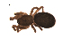  ( - BIOUG00200-E01)  @13 [ ] Copyright  G. Blagoev 2010 Unspecified