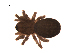  ( - BIOUG00200-E05)  @13 [ ] Copyright  G. Blagoev 2010 Unspecified