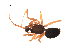  ( - BIOUG00200-G02)  @13 [ ] Copyright  G. Blagoev 2010 Unspecified