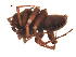  ( - BIOUG00523-C04)  @12 [ ] Copyright  G. Blagoev 2010 Unspecified