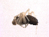  ( - BIOUG00882-G12)  @12 [ ] Copyright  G. Blagoev 2010 Unspecified