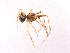  ( - BIOUG00883-B02)  @12 [ ] Copyright  G. Blagoev 2010 Unspecified