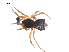  ( - BIOUG36524-A01)  @11 [ ] CreativeCommons - Attribution (2018) G. Blagoev Centre for Biodiversity Genomics