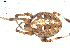  ( - BIOUG00039-G04)  @13 [ ] Copyright  G. Blagoev 2010 Unspecified
