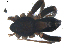  ( - BIOUG00039-G09)  @12 [ ] Copyright  G. Blagoev 2010 Unspecified