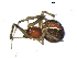  ( - BIOUG00633-H06)  @12 [ ] CC-0  G. Blagoev 2011 Unspecified